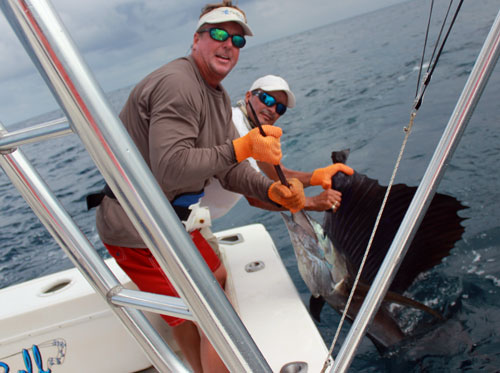 Sailfish Release Costa Rica