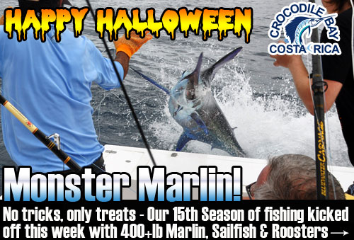 Monster Marlin at Crocodile Bay Resort Fishing