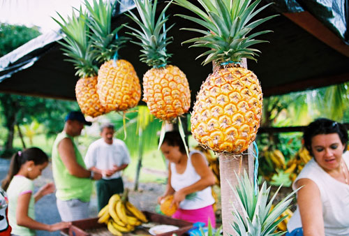 Puerto JImenez Costa Rica Real Estate