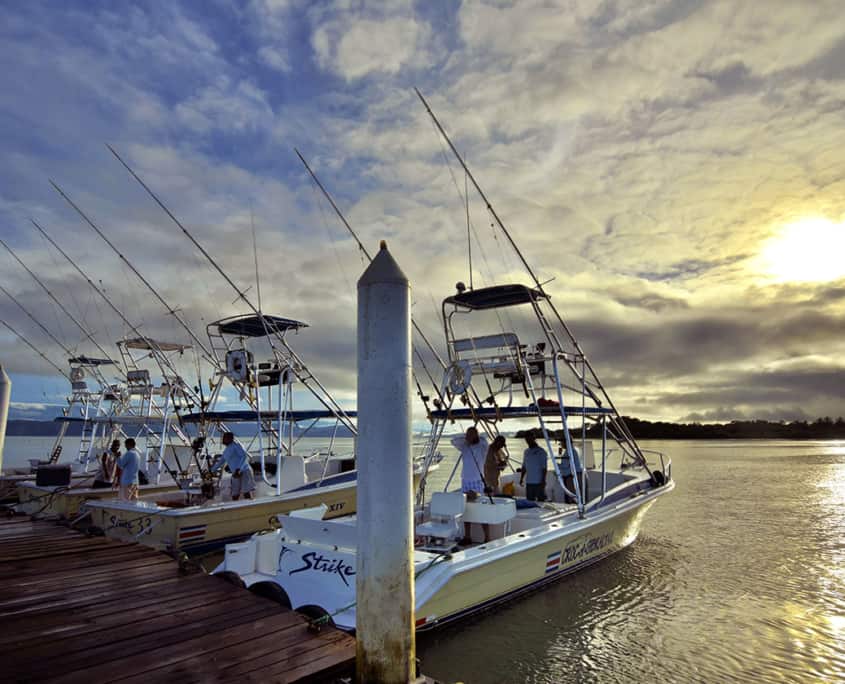Sport Fishing Fleet