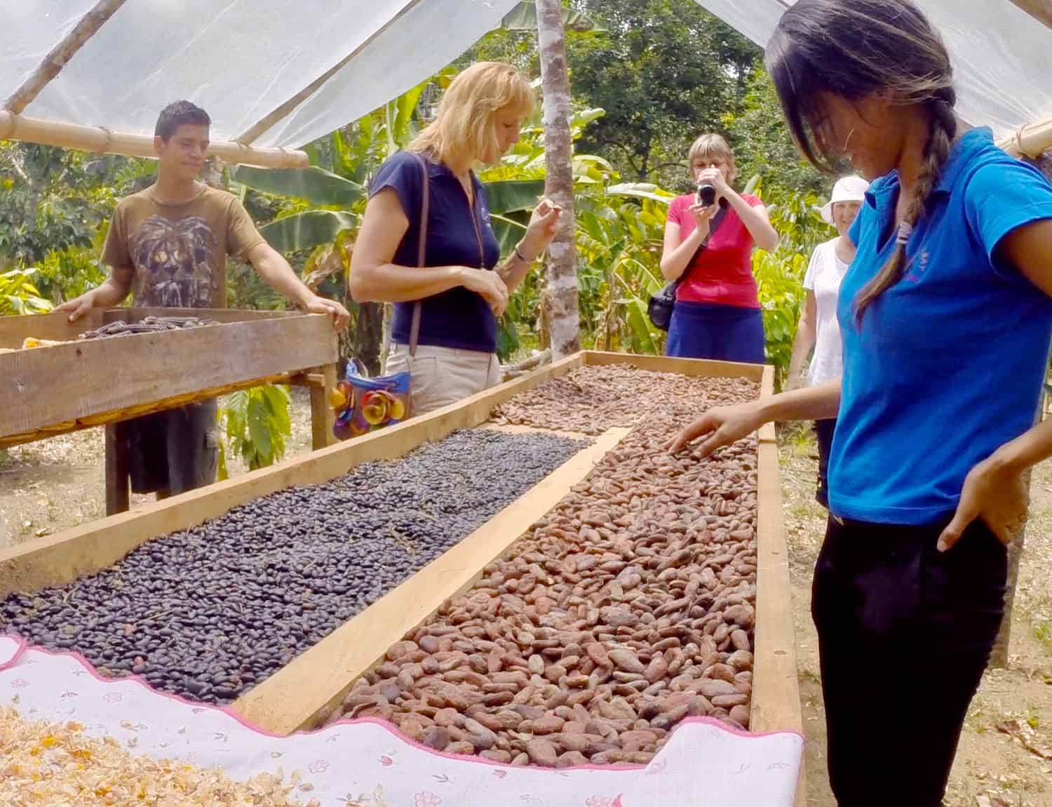 Cocoa and fruit on a chocolate-farm visit near Crocodile Bay