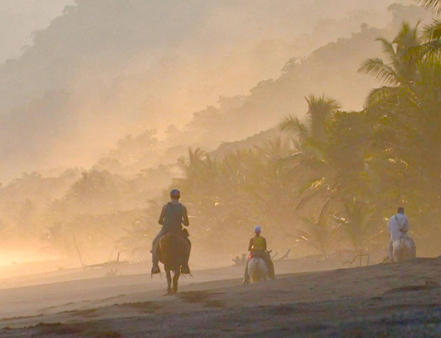 Horseback on a jungle trail on the Osa Peninsula, booked through Crocodile Bay