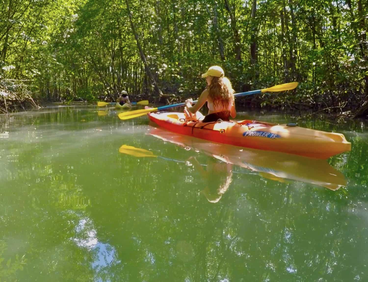 Kayaks in a mangrove estuary near Crocodile Bay, Osa Peninsula