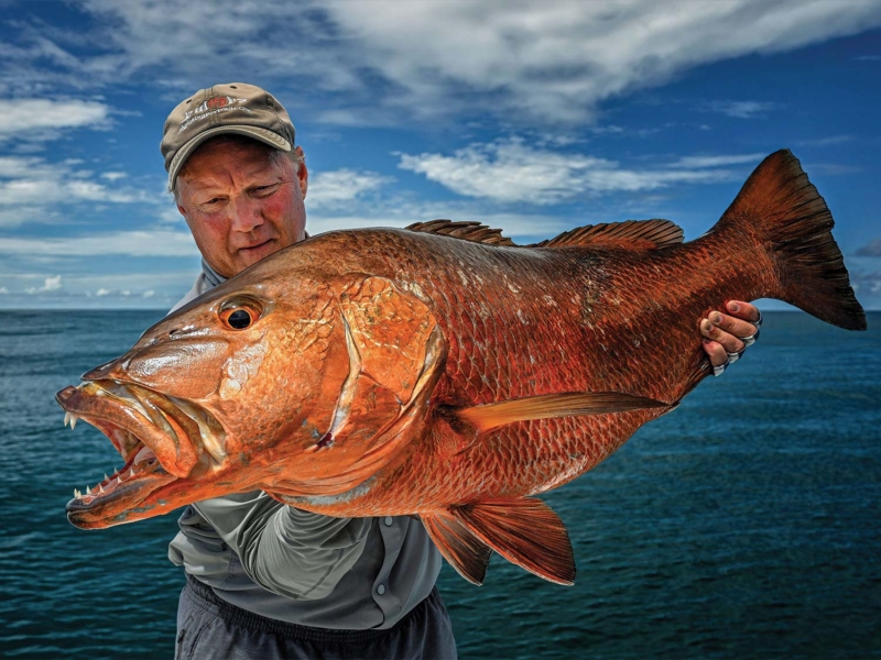 Cubera snapper from Osa Peninsula waters